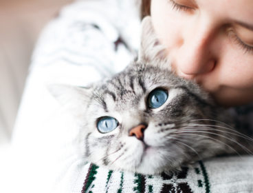 woman hugging gray tabby cat, kissing top of head